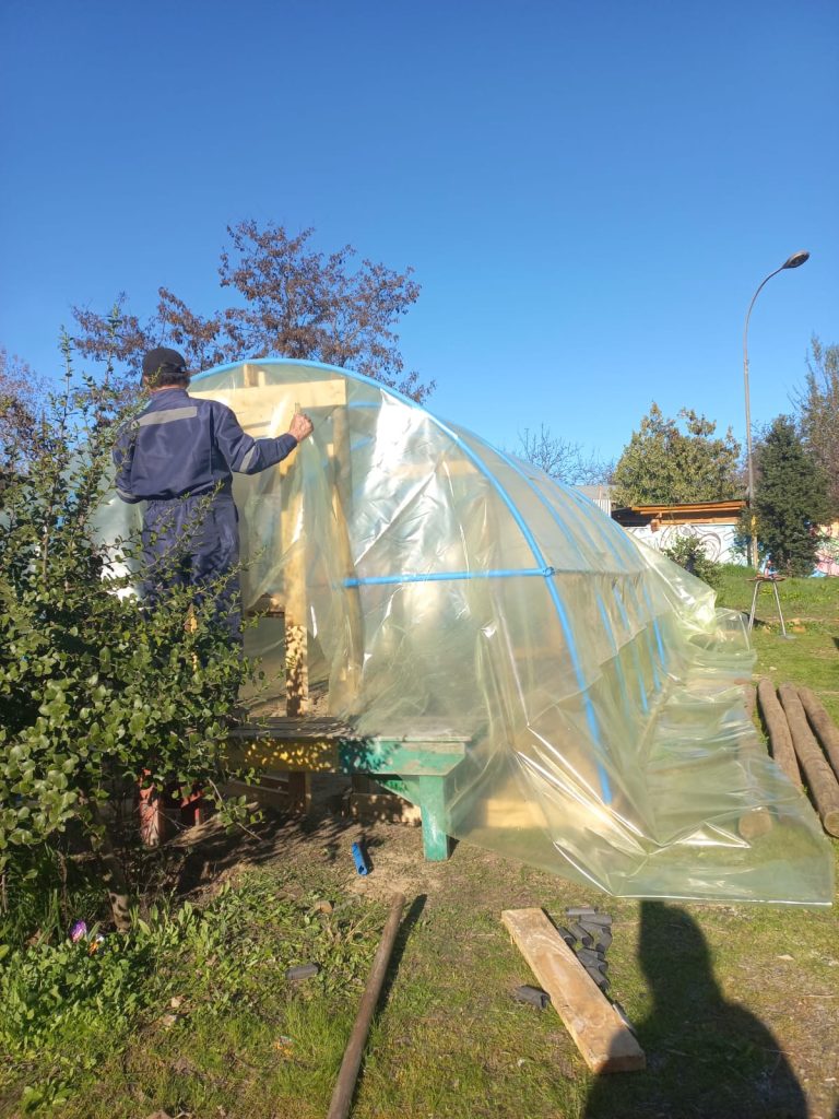 Proyecto Huerta Escolar